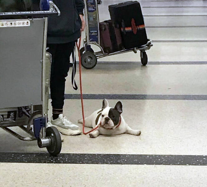 Lawless Airports: Strange Photos That Break All Norms