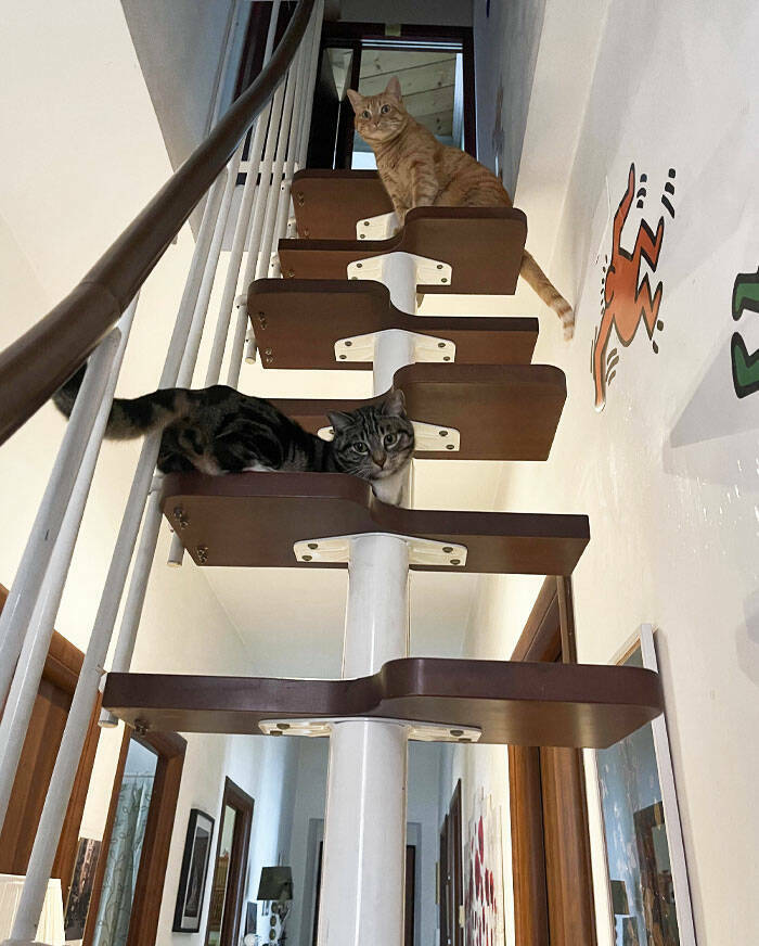 Epic Stair Design Disasters