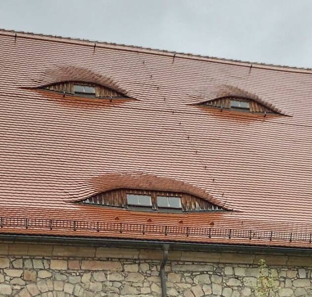 Seeing Faces Everywhere: Hilarious Examples Of Pareidolia