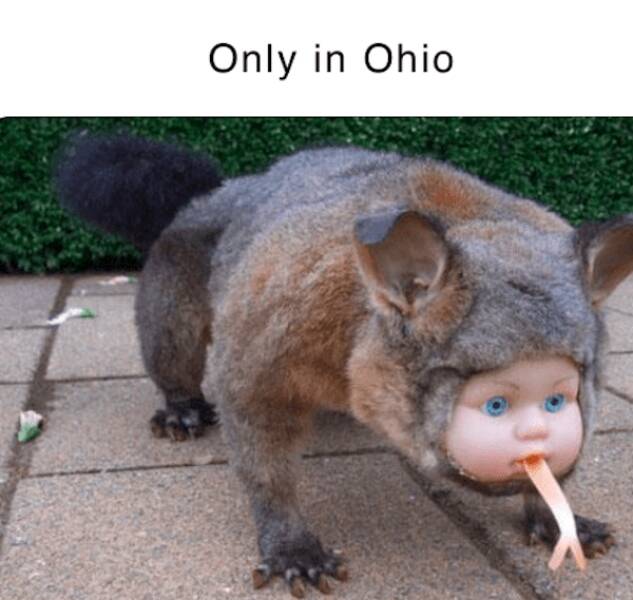 Hilarious Ohio Memes To Enjoy With Your Skyline Chili