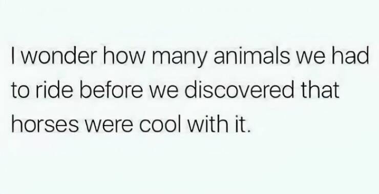 Memes To Numb Your Mind And Make You Laugh Memes To Numb Your Mind And Make You Laugh