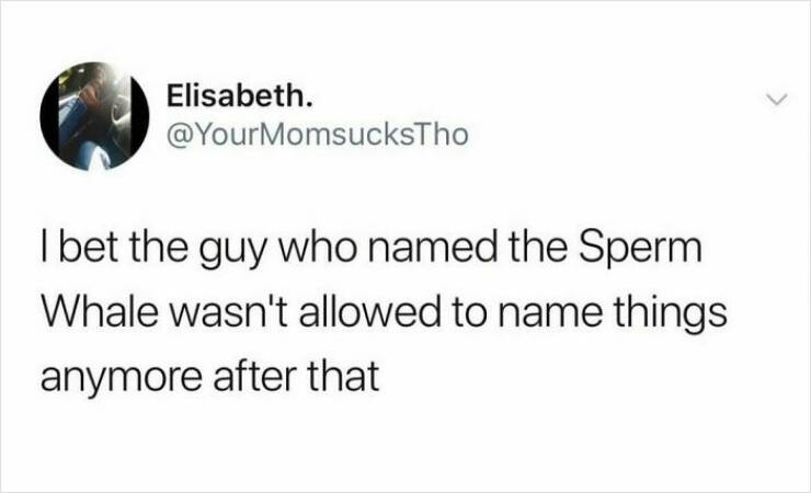 Memes To Numb Your Mind And Make You Laugh Memes To Numb Your Mind And Make You Laugh