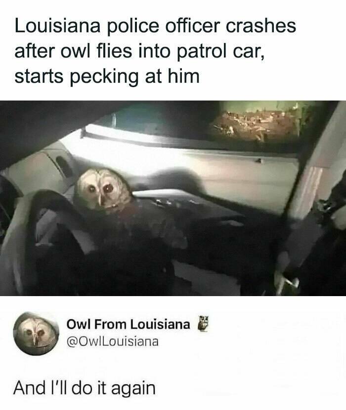 Memes To Numb Your Mind And Make You Laugh Memes To Numb Your Mind And Make You Laugh