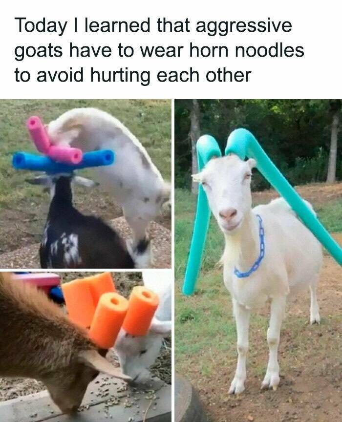 Memes To Numb Your Mind And Make You Laugh Memes To Numb Your Mind And Make You Laugh