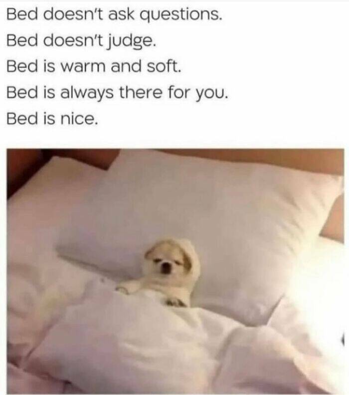 Random Memes For A Moment Of Fun Random Memes For A Moment Of Fun