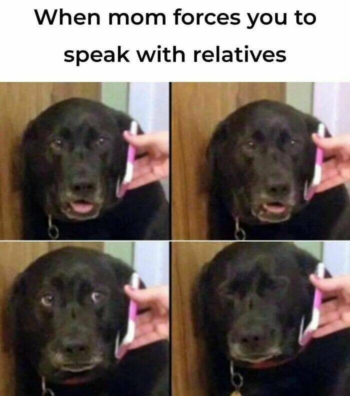 Random Memes For A Moment Of Fun Random Memes For A Moment Of Fun