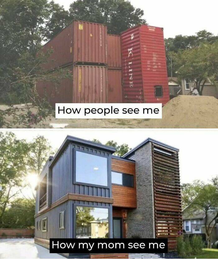 Random Memes For A Moment Of Fun Random Memes For A Moment Of Fun