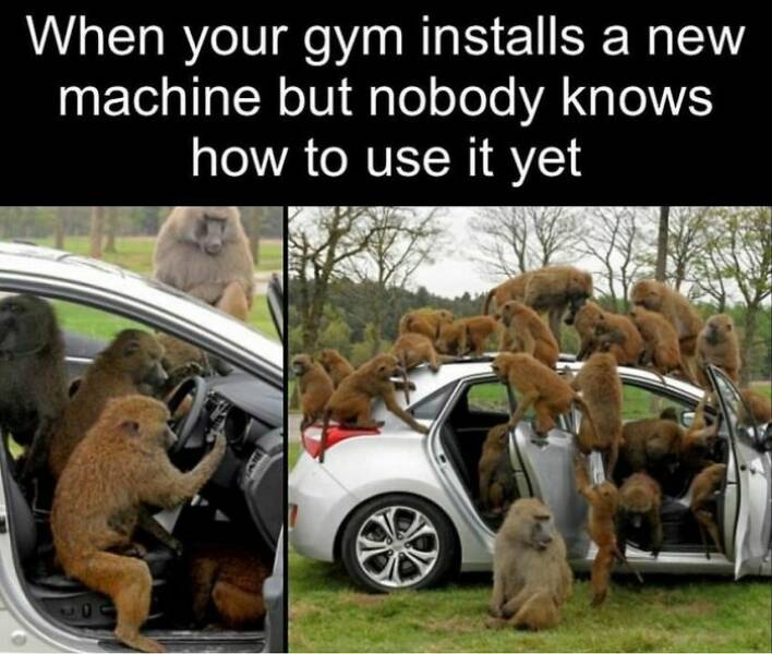 Laugh-Out-Loud Memes From Gym Fail Nation