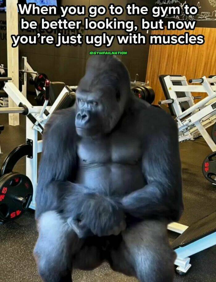 Laugh-Out-Loud Memes From Gym Fail Nation