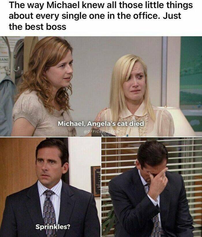 ‘The Office’ Meme Mania