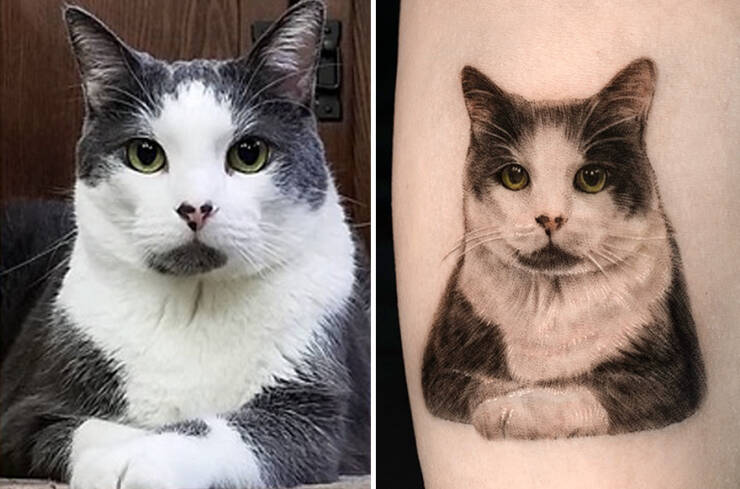 Beautiful Pet Tattoos By Talented Artist