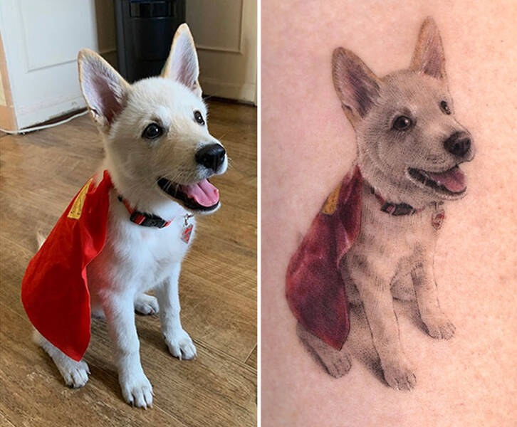 Beautiful Pet Tattoos By Talented Artist