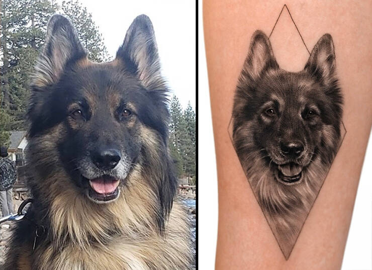 Beautiful Pet Tattoos By Talented Artist