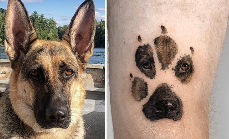 Beautiful Pet Tattoos By Talented Artist