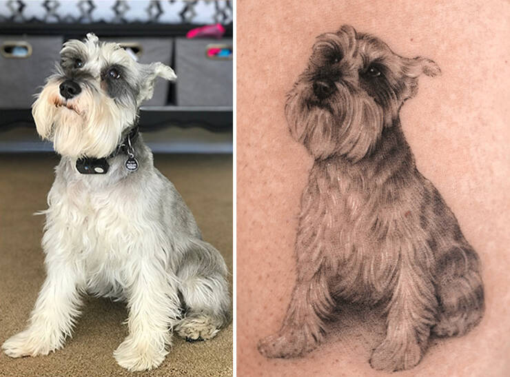 Beautiful Pet Tattoos By Talented Artist