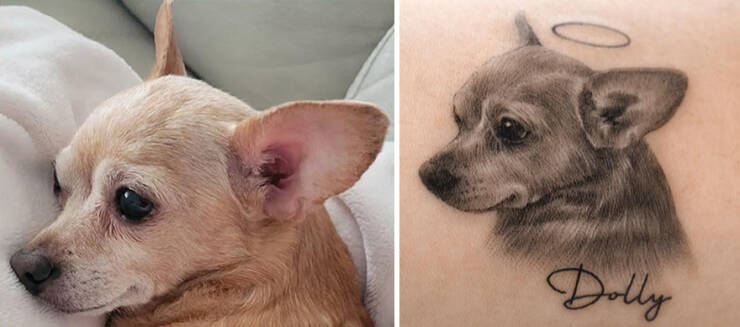 Beautiful Pet Tattoos By Talented Artist