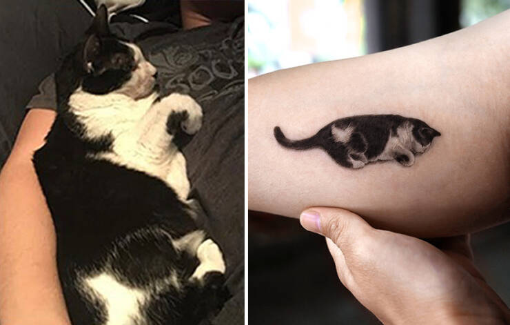 Beautiful Pet Tattoos By Talented Artist