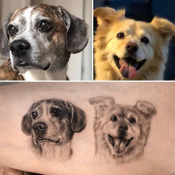 Beautiful Pet Tattoos By Talented Artist