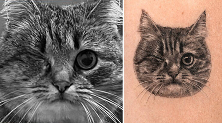 Beautiful Pet Tattoos By Talented Artist