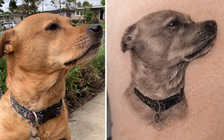 Beautiful Pet Tattoos By Talented Artist