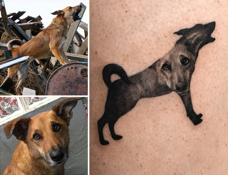 Beautiful Pet Tattoos By Talented Artist