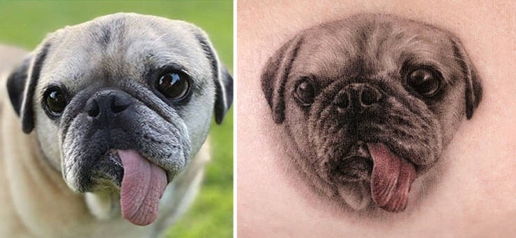 Beautiful Pet Tattoos By Talented Artist