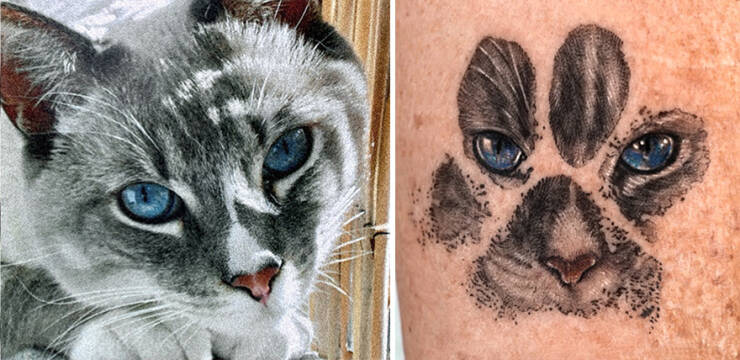 Beautiful Pet Tattoos By Talented Artist