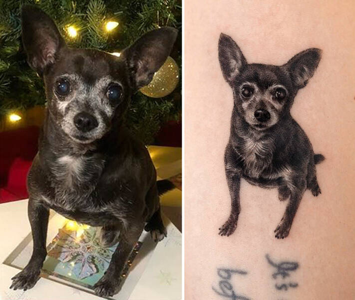 Beautiful Pet Tattoos By Talented Artist