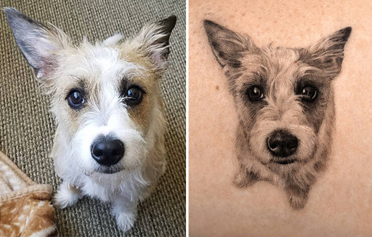 Beautiful Pet Tattoos By Talented Artist