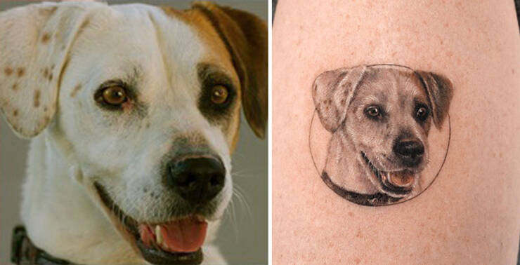 Beautiful Pet Tattoos By Talented Artist