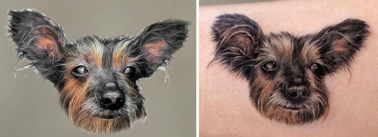 Beautiful Pet Tattoos By Talented Artist