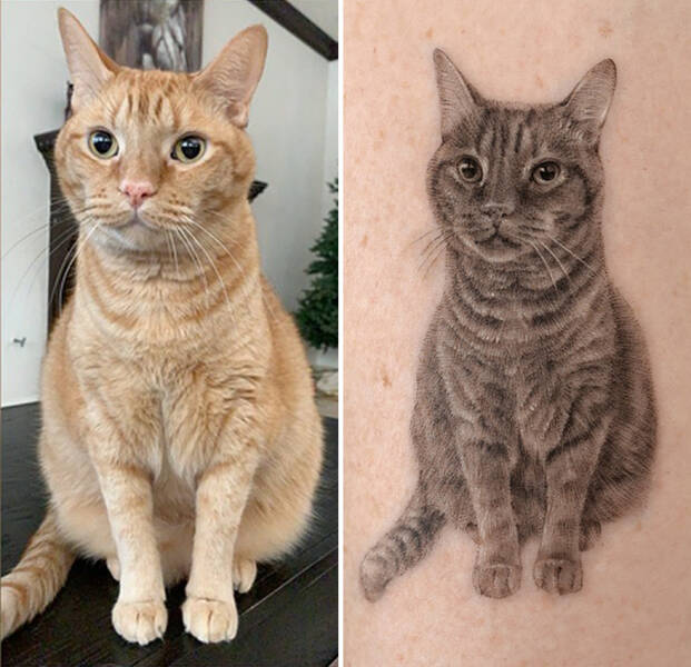 Beautiful Pet Tattoos By Talented Artist