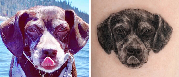 Beautiful Pet Tattoos By Talented Artist