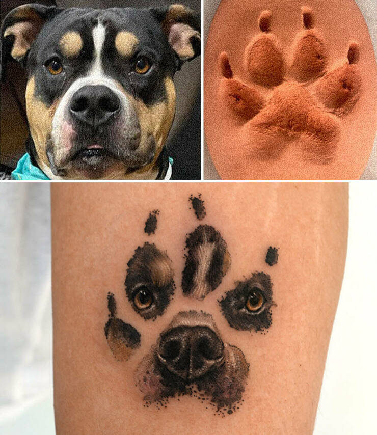 Beautiful Pet Tattoos By Talented Artist