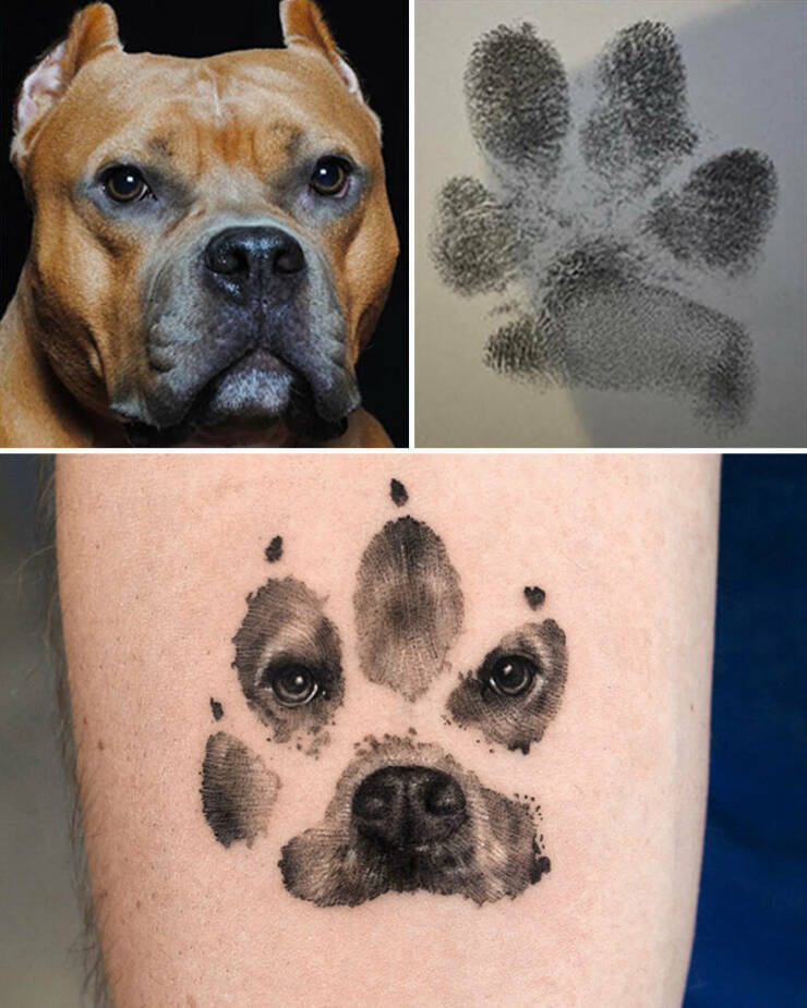 Beautiful Pet Tattoos By Talented Artist