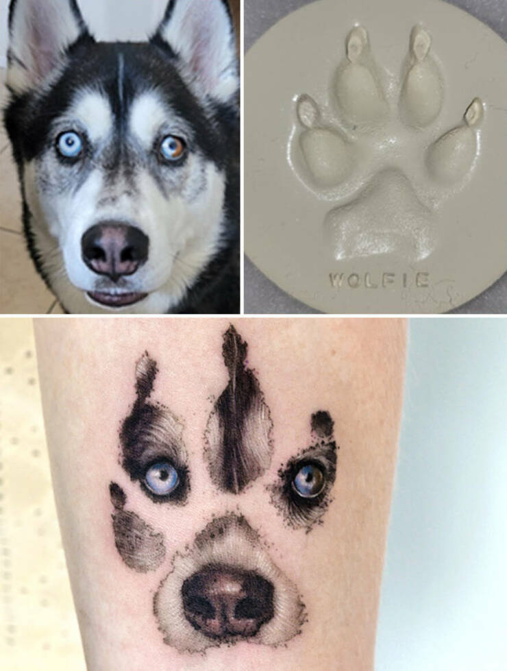 Beautiful Pet Tattoos By Talented Artist