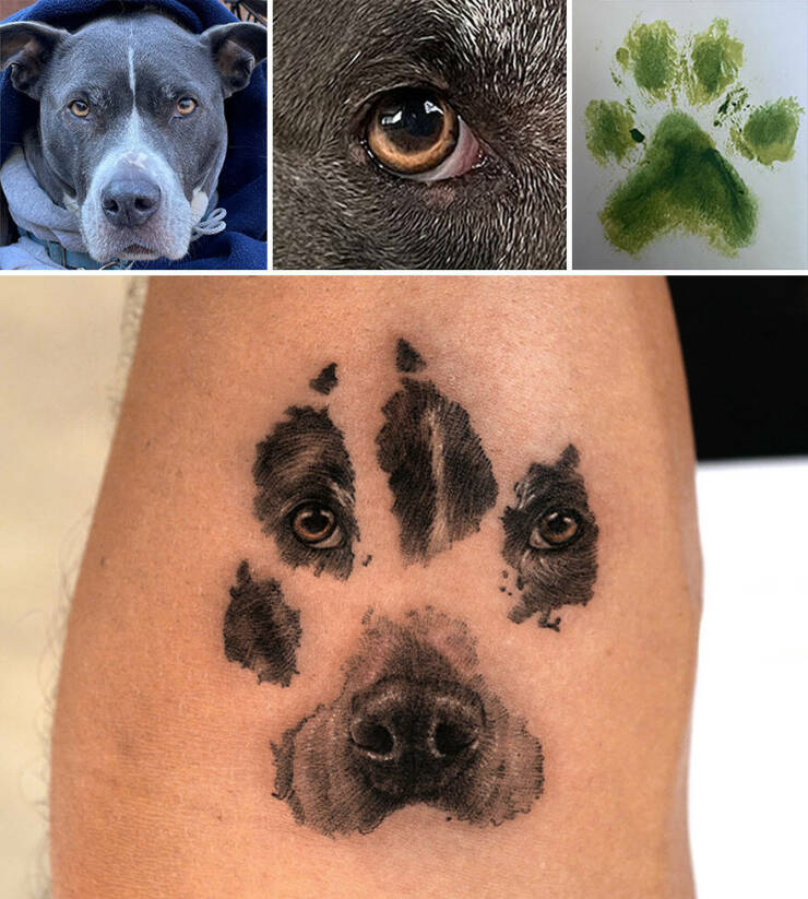 Beautiful Pet Tattoos By Talented Artist