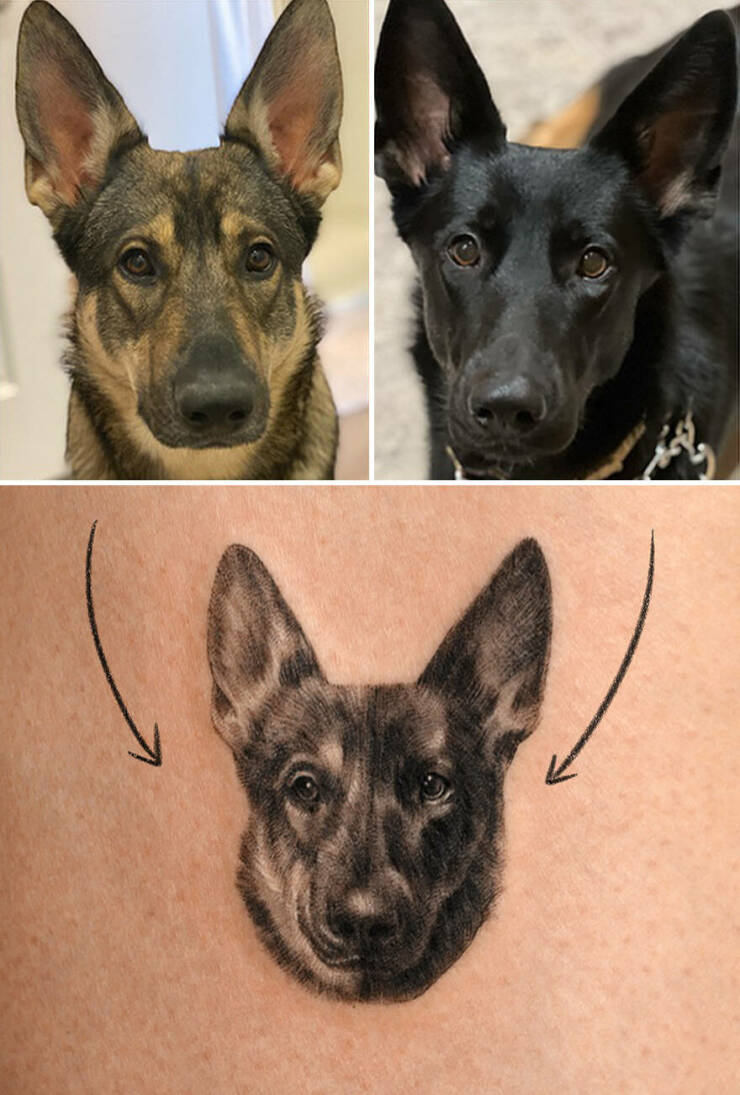 Beautiful Pet Tattoos By Talented Artist