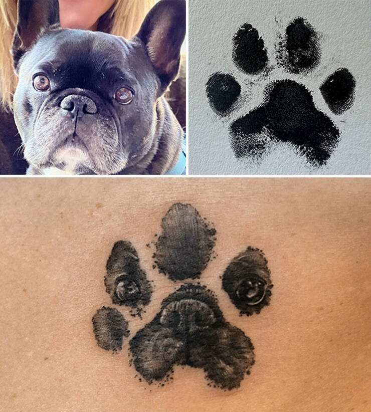 Beautiful Pet Tattoos By Talented Artist