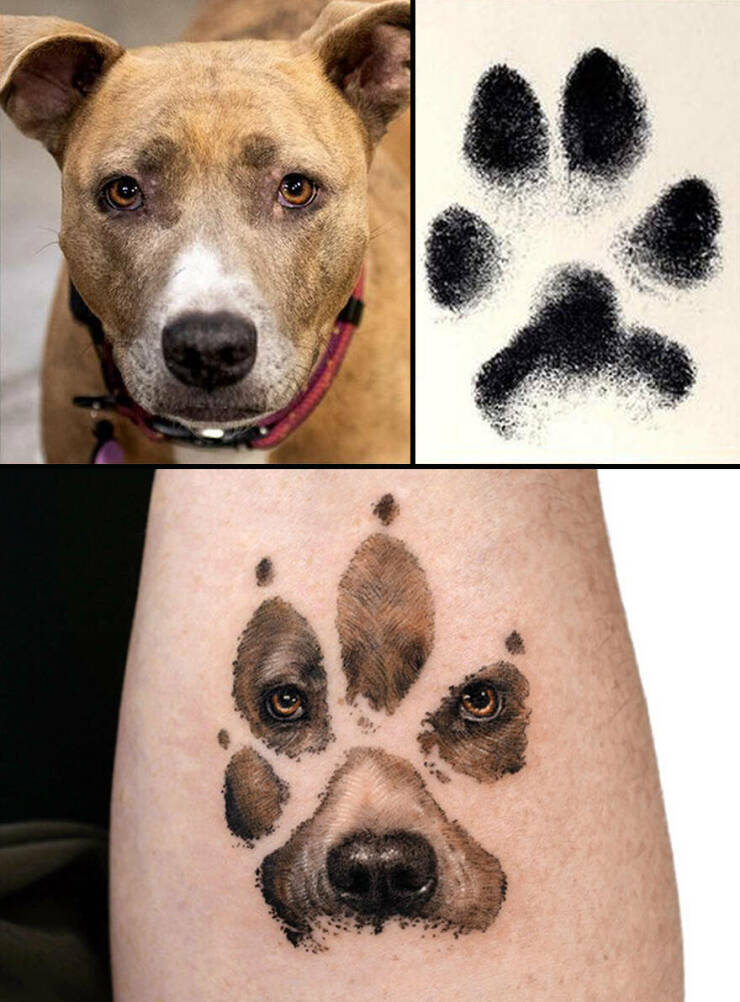 Beautiful Pet Tattoos By Talented Artist