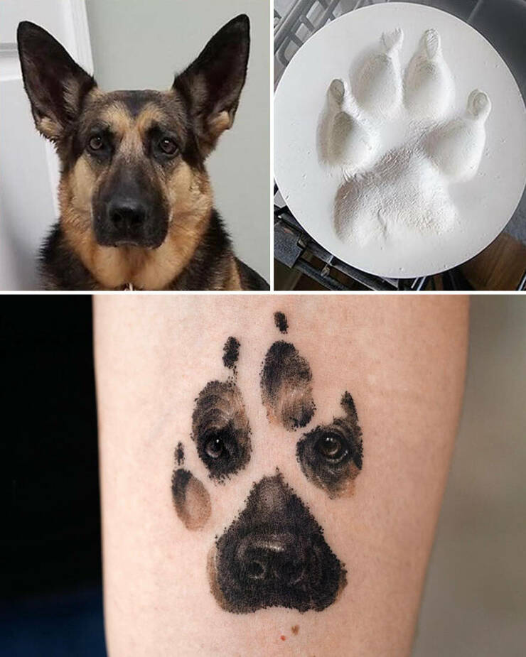 Beautiful Pet Tattoos By Talented Artist