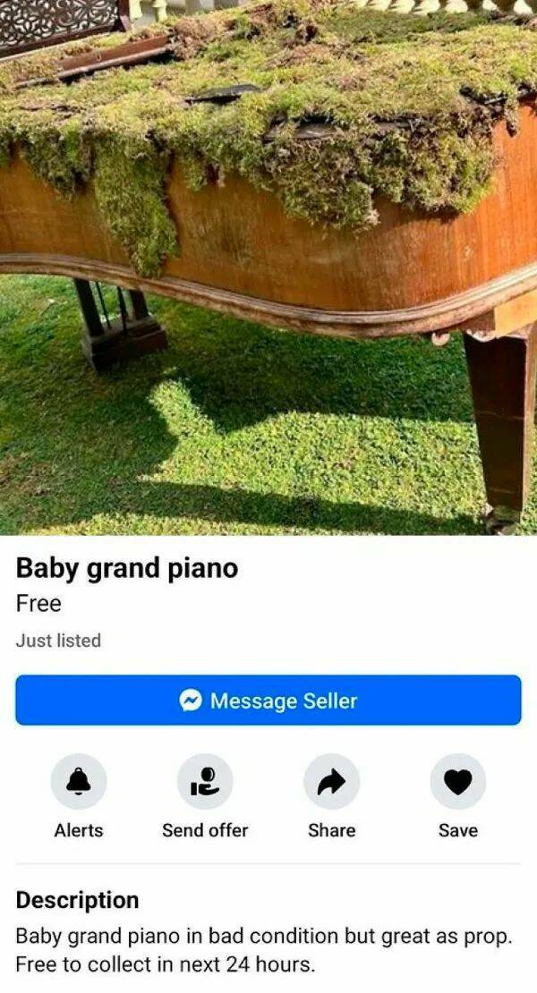 Are These Absurd Facebook Marketplace Listings Too Good To Be True?