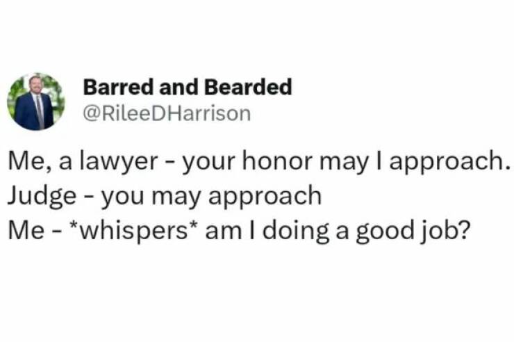 Dive Into The World Of Lawyer Memes