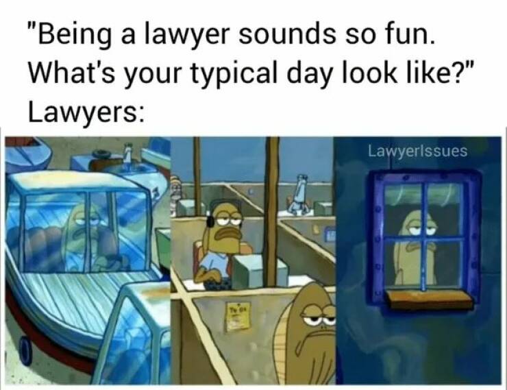 Dive Into The World Of Lawyer Memes