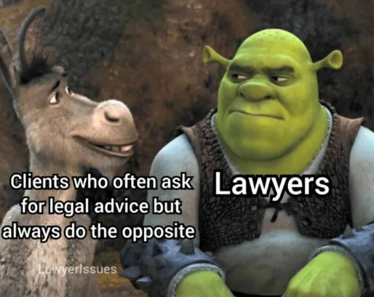 Dive Into The World Of Lawyer Memes