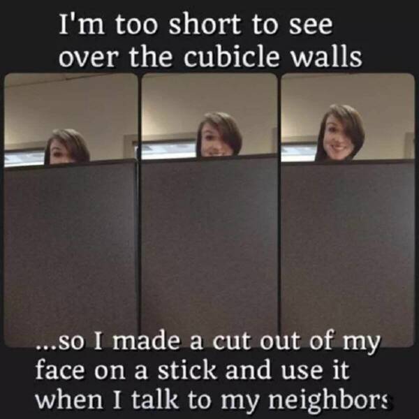 Hilarious Short People Memes