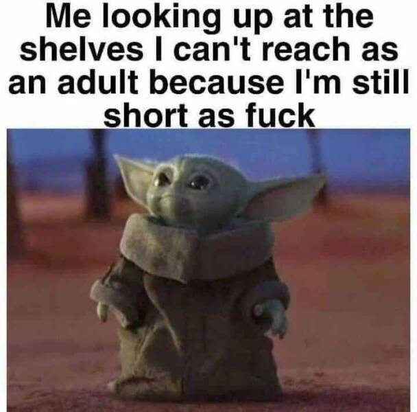 Hilarious Short People Memes