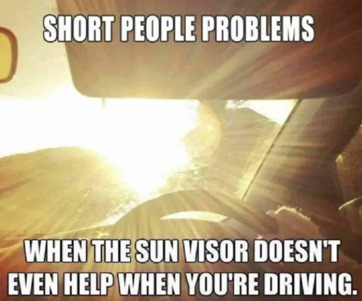 Hilarious Short People Memes