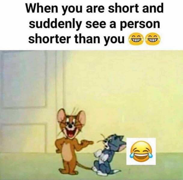 Hilarious Short People Memes