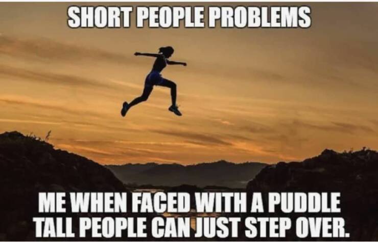 Hilarious Short People Memes